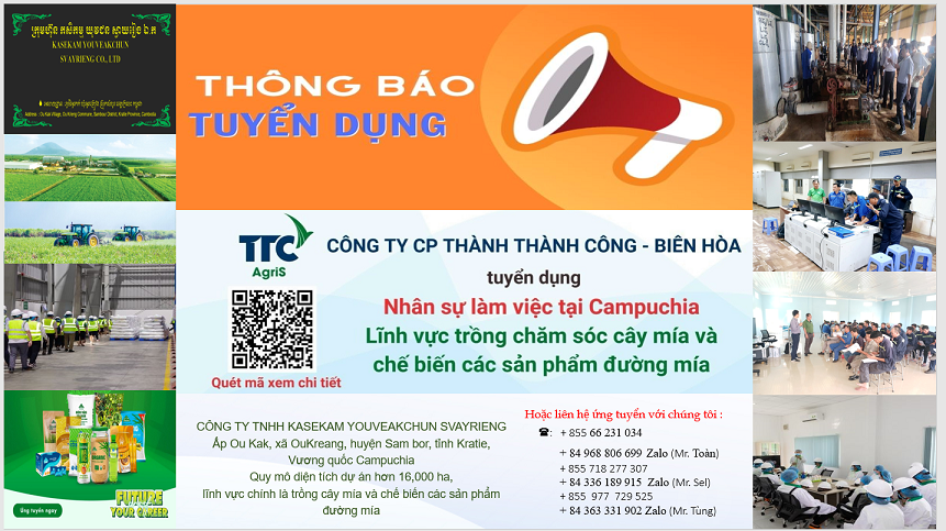 Công ty CP Thành Thành Công - Biên Hòa - Tuyển dụng
